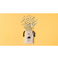 Micropuzzel Discover the World